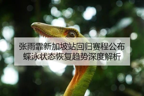 张雨霏新加坡站回归赛程公布 蝶泳状态恢复趋势深度解析
